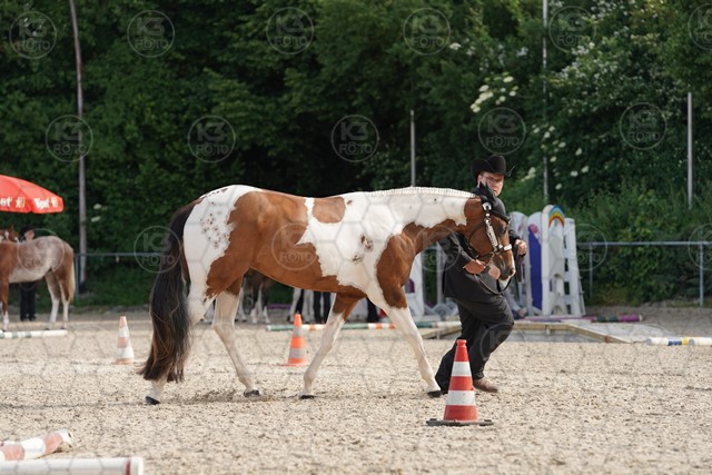 sA9K07377.JPG